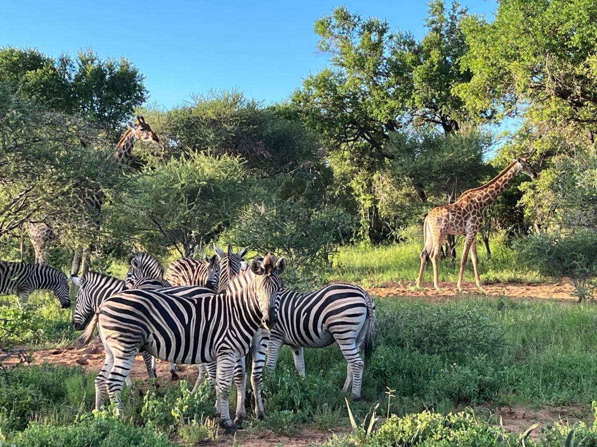 Lindiwe Safari Lodge Худспрут Экстерьер фото